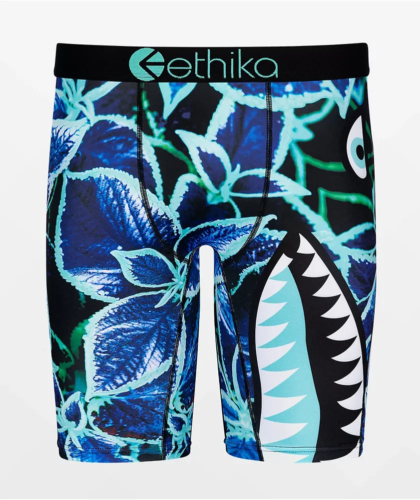 Girls Ethika Ethika Graphic Underwear - Girls' Grade School Blue