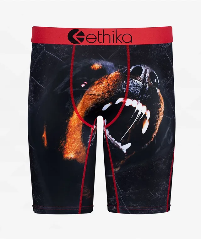 Ethika 3 pack youth boxer briefs underwear LARGE
