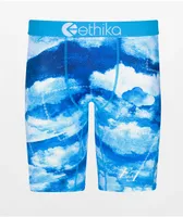 Ethika Kids Sky Luxe Blue Boxer Briefs