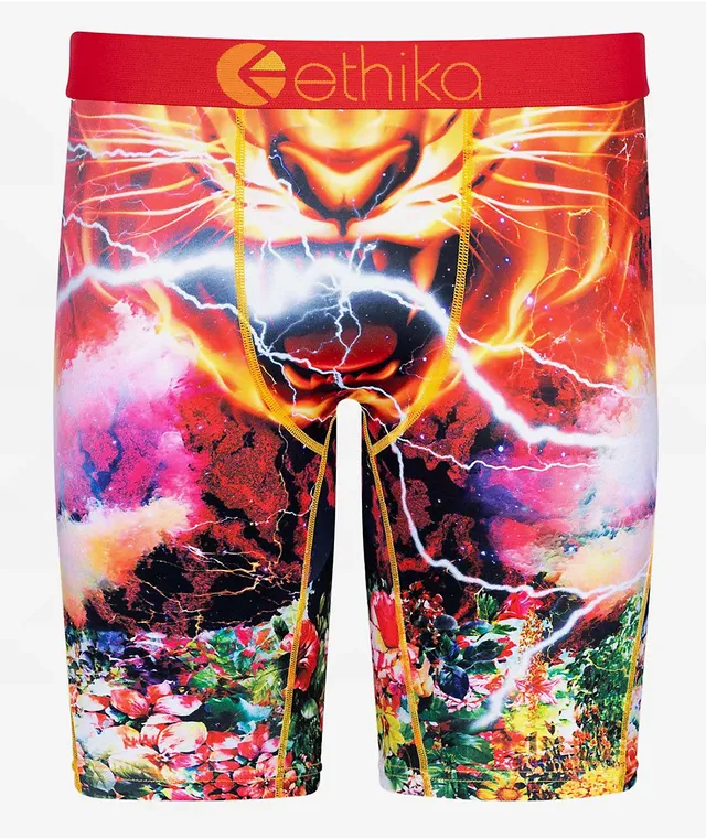 Ethika Kids Tiger Storm Boxer Briefs