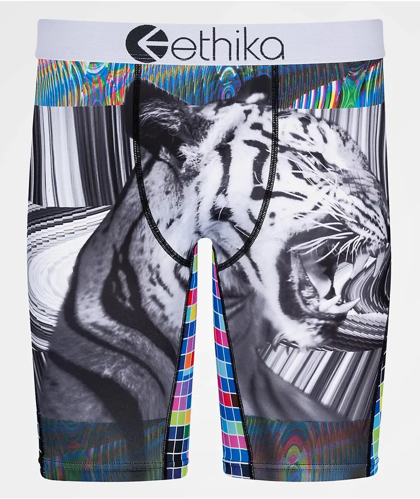 ETHIKA What Is That Mens Boxer Briefs - MULTI