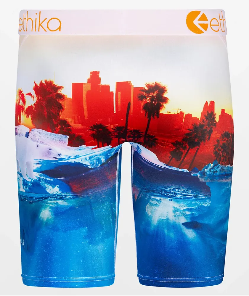 Ethika Polar World Boxer Briefs