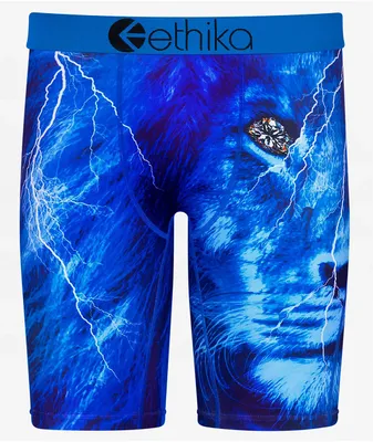 Ethika Blue Flutter Staple Boyshort Underwear