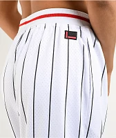 FUBU Varsity Pinstripe White Mesh Shorts