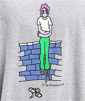 Frog Broken Glasses Grey Long Sleeve T-Shirt
