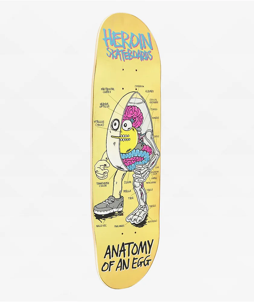 Heroin Anatomy Of An Egg 8.75" Skateboard Deck