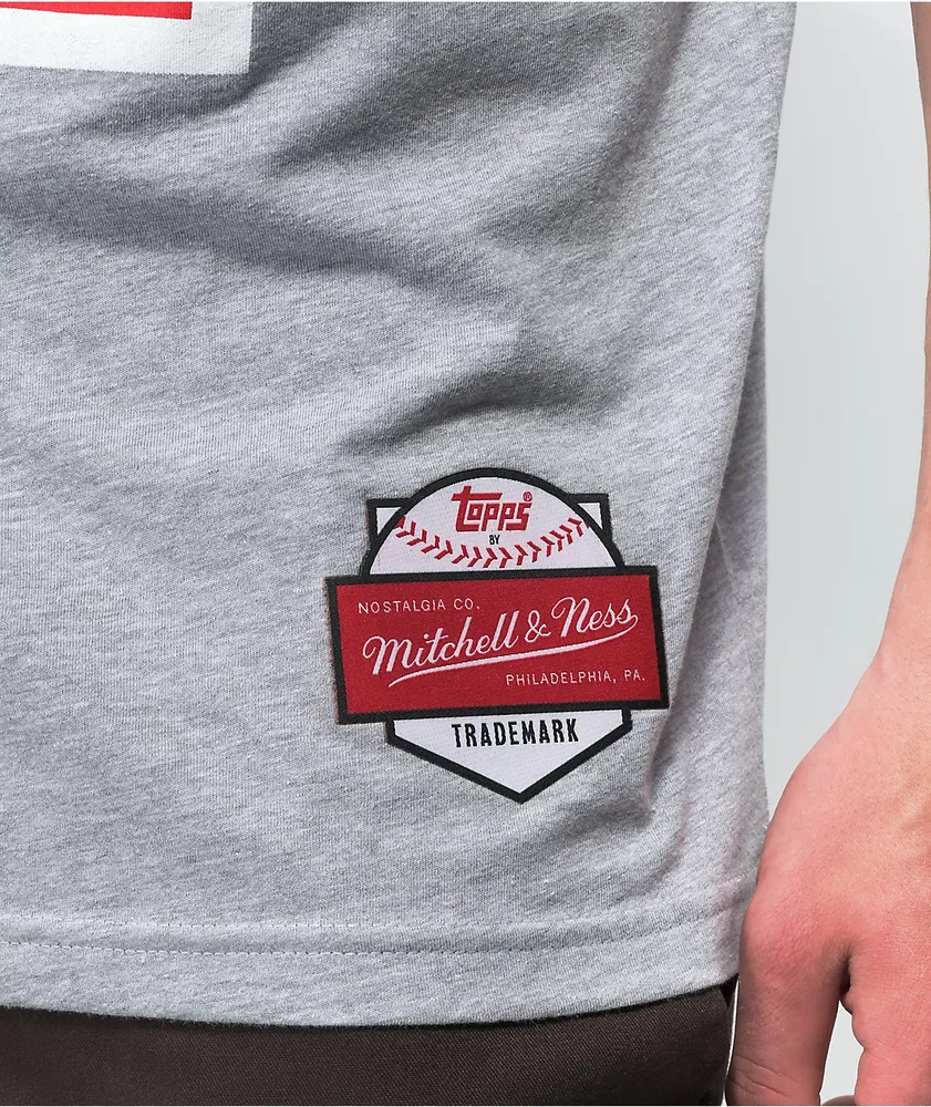 Mitchell & Ness x MLB Victorious Photo Grey T-Shirt