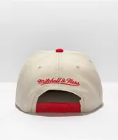 Mitchell & Ness x NBA Chicago Bulls Natural Snapback Hat