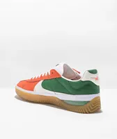 Nike SB BRSB Deep Orange & Green Skate Shoes