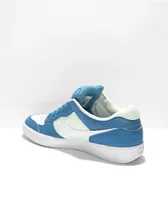 Nike SB Force 58 Dutch Blue, Green, & White Leather Skate Shoes