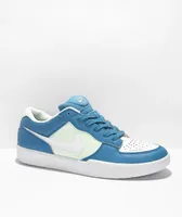 Nike SB Force 58 Dutch Blue, Green, & White Leather Skate Shoes