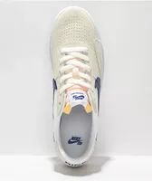 Nike SB Heritage Vulc White & Deep Royal Skate Shoes