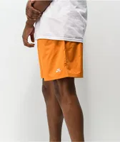 Nike SB Novelty Curry Chino Shorts