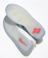 Nike SB Nyjah Free 2.0 Summit White & Pink Skate Shoes