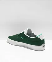 Nike SB Shane Green & Volt Skate Shoes