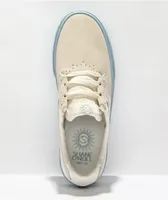 Nike SB Shane Sail & Blue Skate Shoes