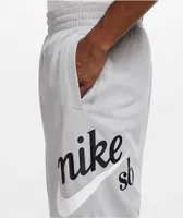 Nike SB Sunday Grey Basketball Shorts