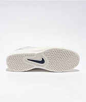 Nike SB Vertebrae Platinum Tint & Midnight Navy Skate Shoes