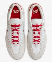 Nike SB Vertebrae Summit White & University Red Skate Shoes