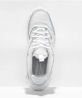 Nike Zoom Air Fire Photon Dust & White Shoes