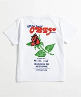 Obey Miracle Of Living White Crop T-Shirt