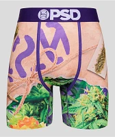 PSD 420 Stash Boxer Briefs