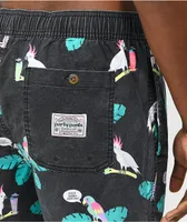 Party Pants Polly Want A Cocktail Black Board Shorts