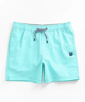 Party Pants Vintage Volley Mint Board Shorts