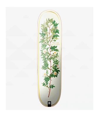 Plan B McClung Bloom 8.0" Skateboard Deck