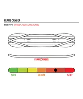 Public Display Snowboard 2024