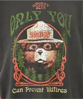 Smokey Bear Only You Grey T-Shirt 