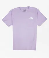 The North Face Box Never Stop Exploring Lupine T-Shirt