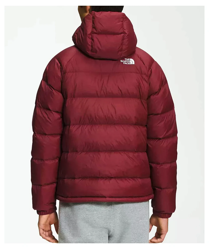 The North Face Hydrenalite Topaz Down Puffer Hoodie