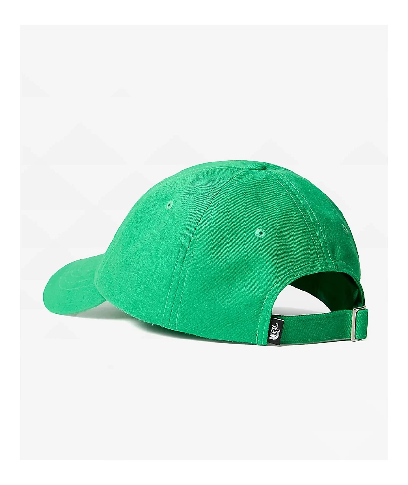 The North Face Norm Optic Emerald Strapback Hat