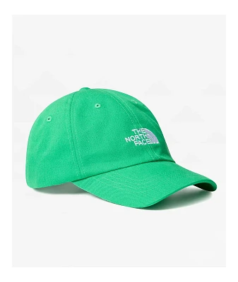 The North Face Norm Optic Emerald Strapback Hat