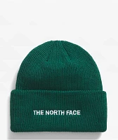 The North Face Urban Embroidered Evergreen Beanie