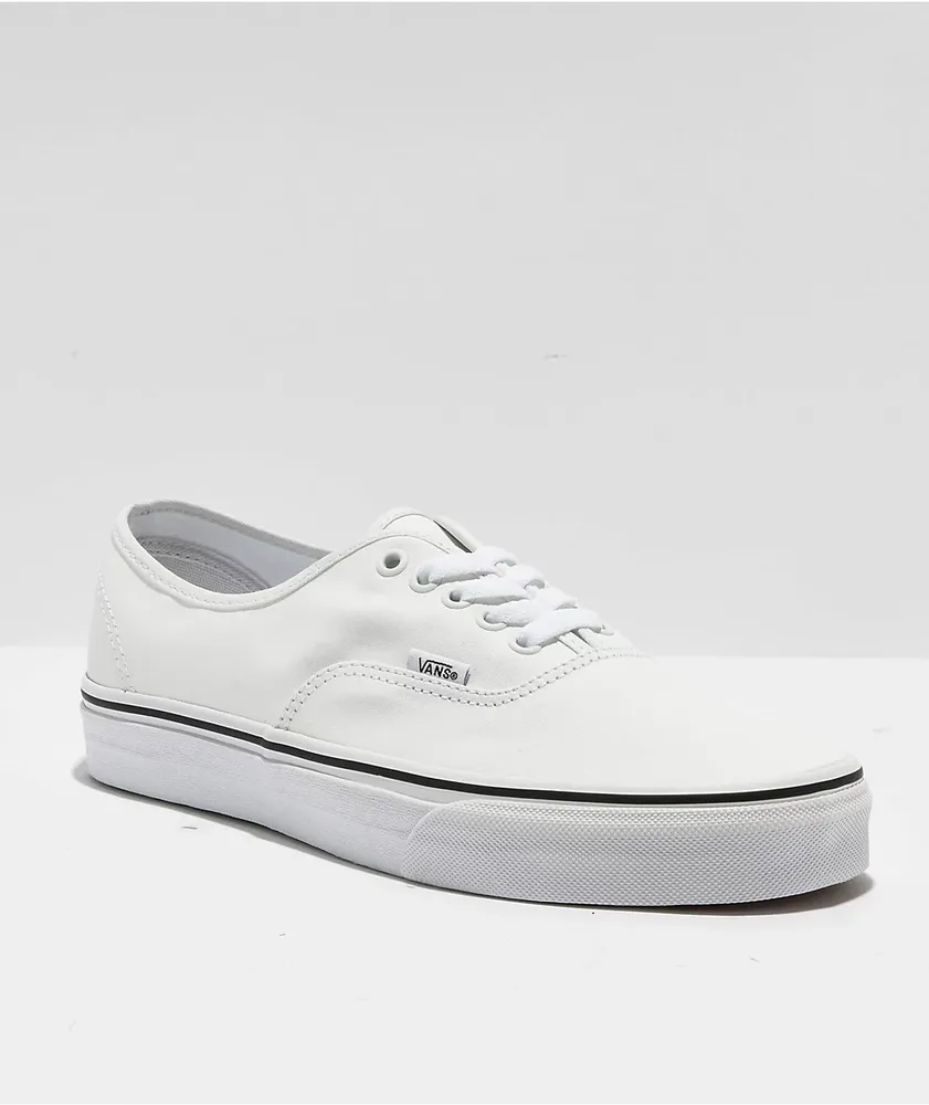 Vans Authentic Glow Theory Skate Shoes