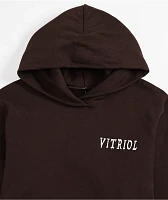 Vitriol Kids Brutal Brown Hoodie