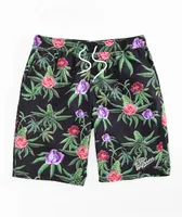 Your Highness Dream Black Board Shorts