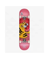 Z-Flex Aragon 7.8" Skateboard Complete