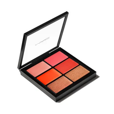 PRO Lip Palette / 6 Editorial Oranges