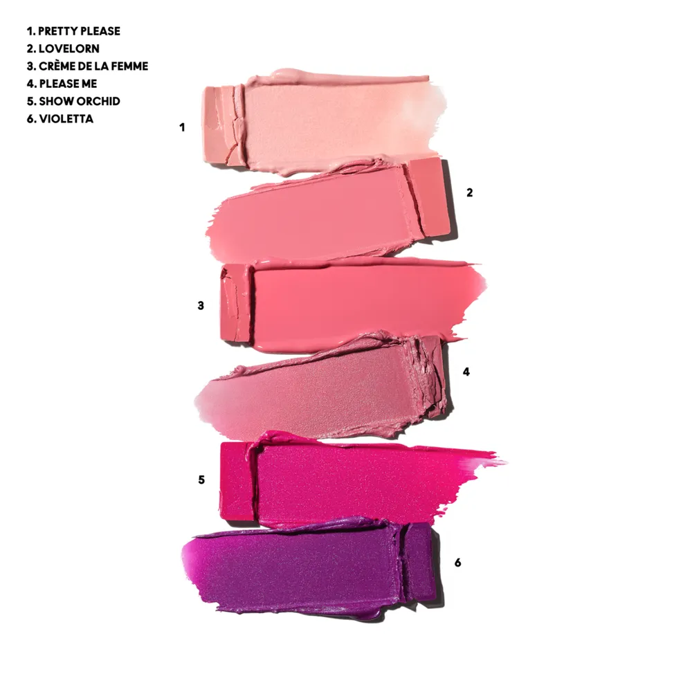 PRO Lip Palette / 6 Preferred Pinks