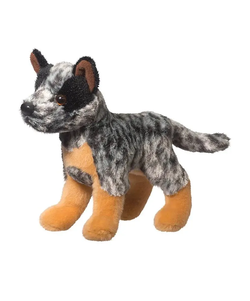 Clanger - Australian Cattle Dog