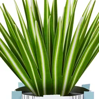 Spider Plant Keep Growing 3D Pop-Up Hello Card