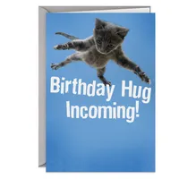 Shoebox Funny Birthday Card (Flying Cat)