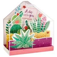 Paper Wonder Displayable Pop Up Birthday Card (Succulents)