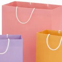 Recyclable Gift Bag Assortment (8 Bags: 3 Small 6