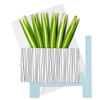 Spider Plant Keep Growing 3D Pop-Up Hello Card