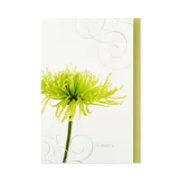 Assorted Sympathy Cards (Flowers, 12 Cards and Envelopes)