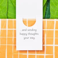 Paper Wonder Thinking of You, Encouragement Pop Up Card (Potted Peace Lily)